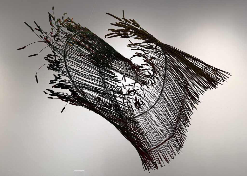 Suspended abstract sculpture formed from bundles of long, slender rods and textured seed-like forms that sweep outward in intersecting curves, creating a delicate, wing-like shape against a white gallery wall.